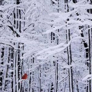 Meet your Posher, Judy